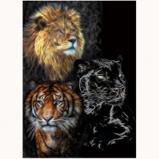 ZOO GREETING CARD Big Cats